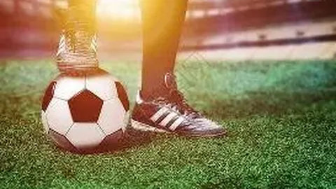 全红婵组合重组，陈芋汐搭档新伙伴征战新赛事跳水界！