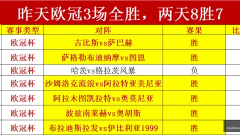 巴西甲赛事分析：瑞模贝雷对决米内罗竞技，比分揭晓终极指南
